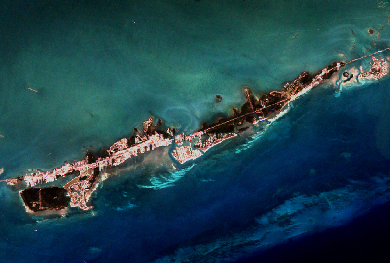 Obraz satelitarny przedstawiający rafę koralową. 