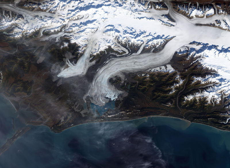 Zdjęcie satelitarne przedstawiające lodowiec - dwa białe, zakręcone języki odcinające się od ciemnego tła lądu i morza.