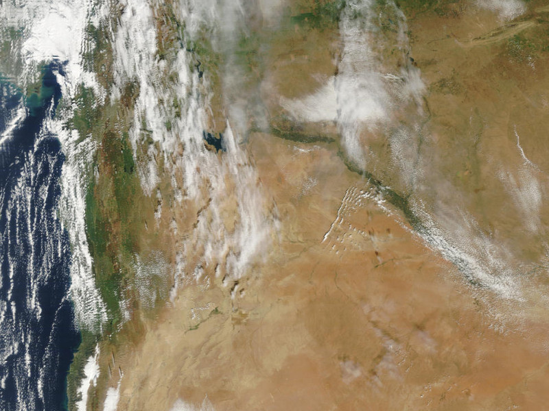 Zdjęcie satelitarne z bliskiego wschodu - widać suche, pustynne rejony oraz zielone wybrzeże i doliny rzeczne.