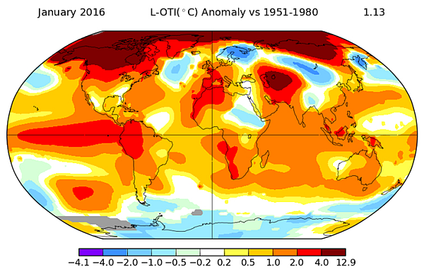 Temperatura globalna w styczniu - mapa