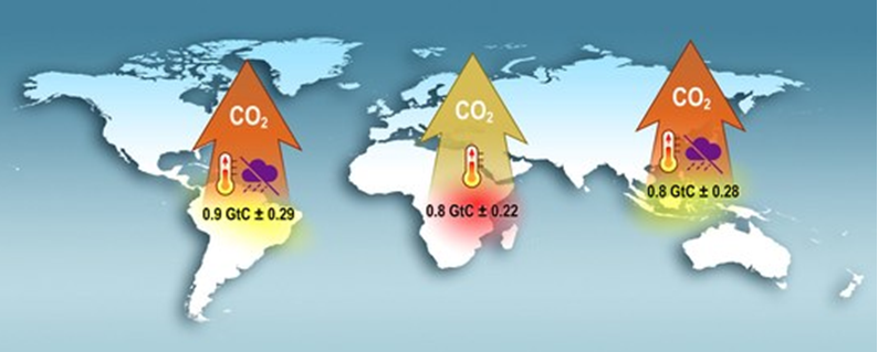 Trzy grube strzałki celujące w górę, z napisami CO2, w tle mapa świata
