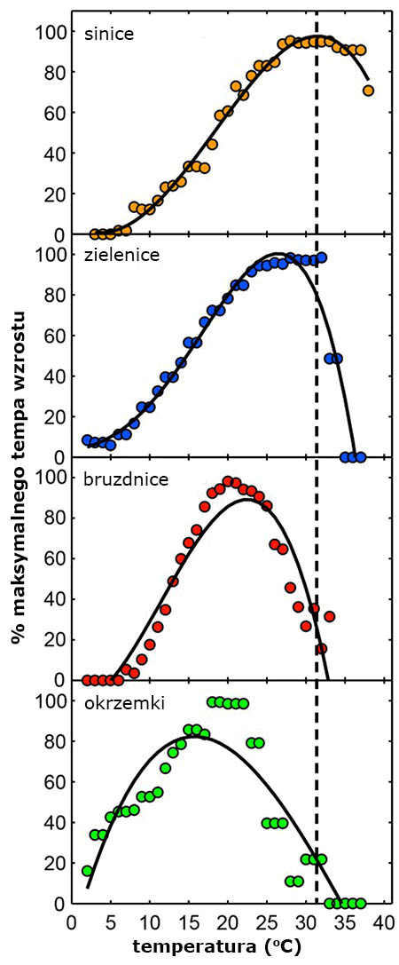 Sinice i nie tylko: wykresy pokazujące związkem tempa wzrostu organizmów z temperaturą. 