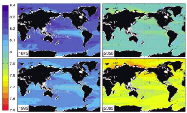 Współczynnik pH wód powierzchniowych oceanów