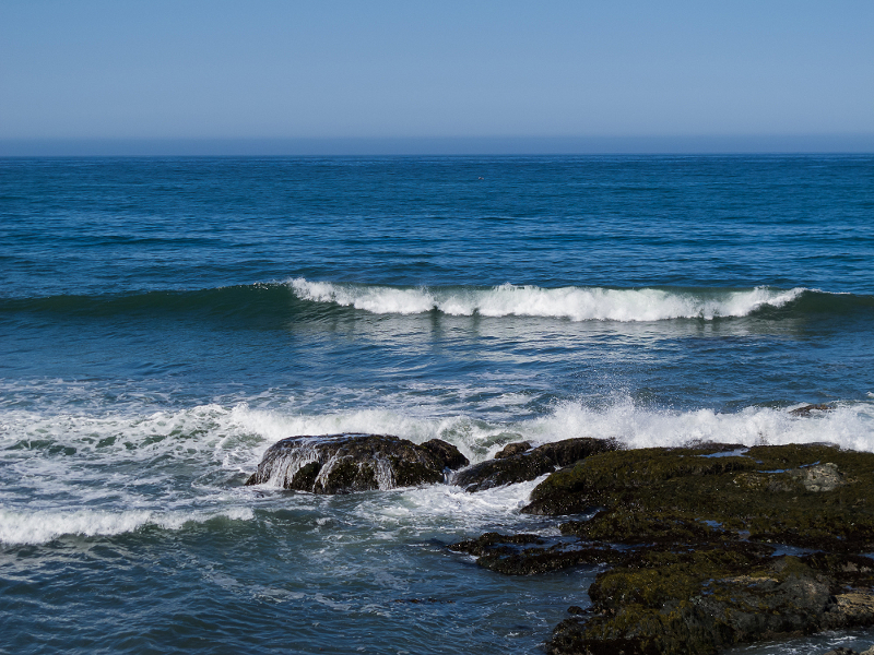 Zdjęcie przdstawia granatowy ocean i łamiące się fale z białymi grzywami.