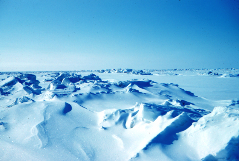 Zdjęcie przedstawia baiło neibieskawą mozaikę, jaką tworzy kostropaty lód morski.