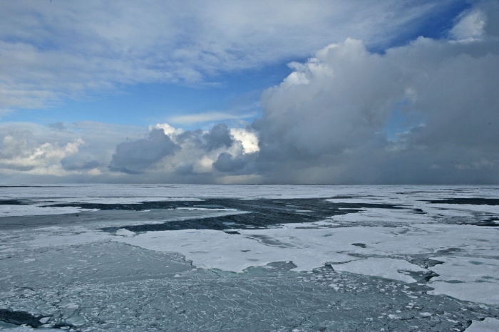 Zdjęcie jest w tonacji biało-niebieskiej, w dolnej częsci widać kruche, rozrywające się tafle lodu na ciemnym oceanie, w góze niebo.