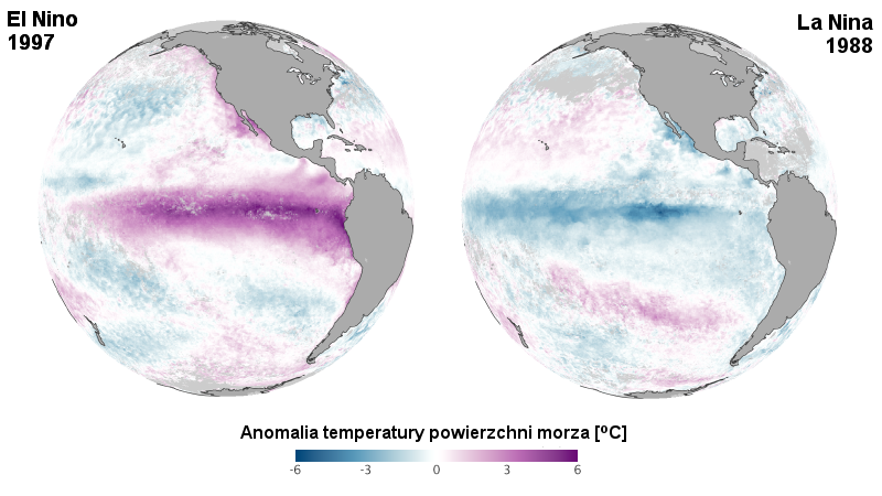 Rysunek przedstawia dwie kule ziemskie, widoczny jest ocean spokojny. Z lewej strony El Nino - widoczna jest plama podwyższonych temepratur na Pacyfiku, z prawej - La Nina, widoczna plama związana z obniżonyi temperaturami.