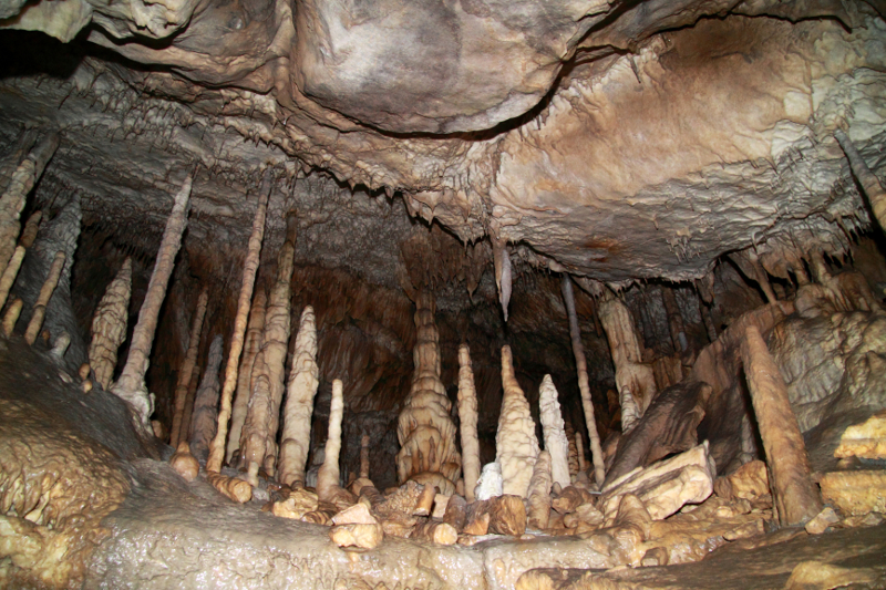 Zdjęcie przedstawia wnętrze jaskini z szeregiem dość wysokich stalagmitów.