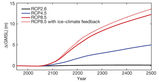 Wykres: projekcje wkładu Antarktydy do wzrostu poziomu morza w różnych scenariuszach. 