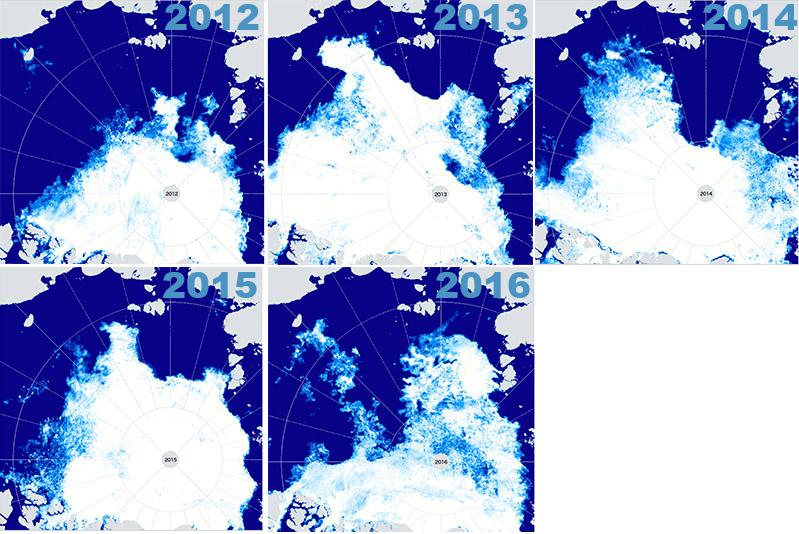 Mapy: zasięg i koncentracja lodu morskiego w czasie wrześniowego minimum w latach 2012-2016 