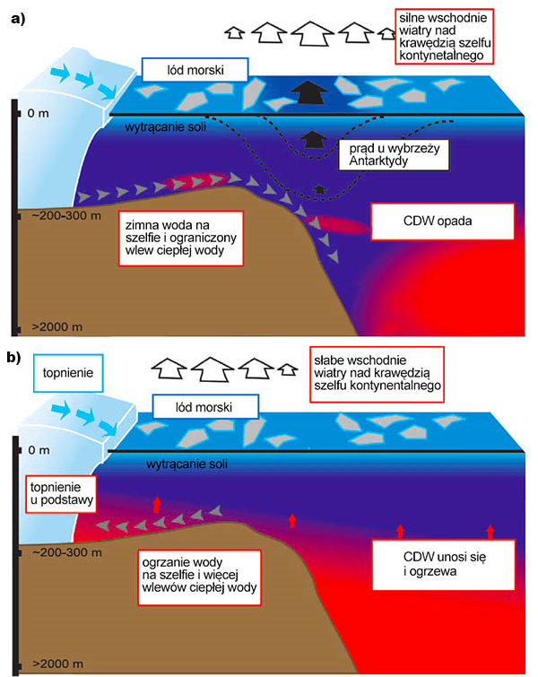Schematy: lodowce szelfowe i masy wody oceanicznej.