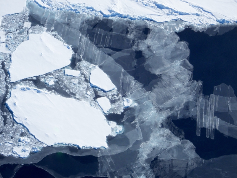 Zdjęcie przedstawia tafle grubego, białego lodu oraz cienkie, przejrzyste mazańce nowego lodu na ciemnogranatowym oceanie.