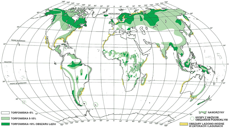 Mapa: torfowiska i inne obszarów lądowo-wodne na Ziemi. 