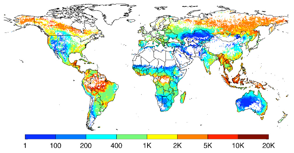 Mapa: ilość węgla tracona podczas pożarów w różnych częściach świata.