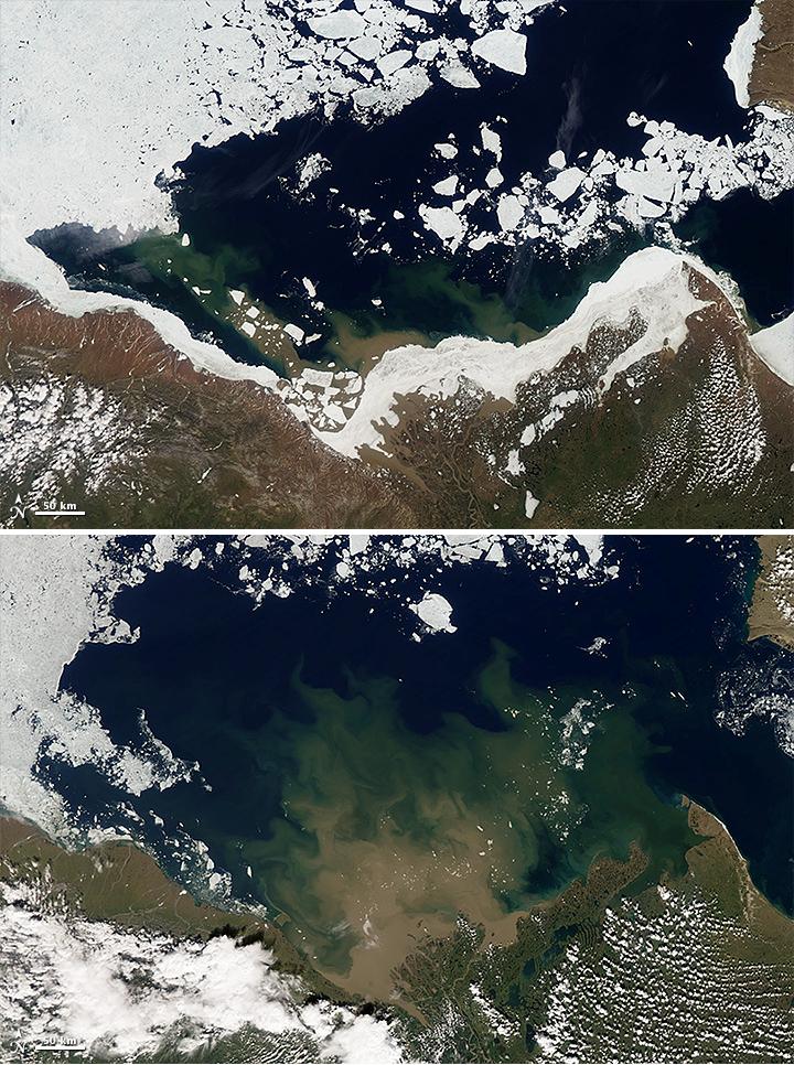 Zdjęcia satelitarne pokazujące spływającą do oceanu wodę rzeczną z dużą domieszką materiału skalnego. Widać wyraźną różnicę w kolorze wody oceanicznej i rzecznej. 