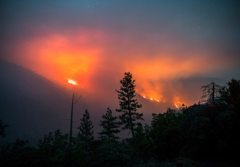 Zdjęcie przedstawia krajobraz, na pierwszym planie pojedyncze sylwetki drzew, w dle wielkie rozmyte plamy ognia i podświetlonego nim dymu. 