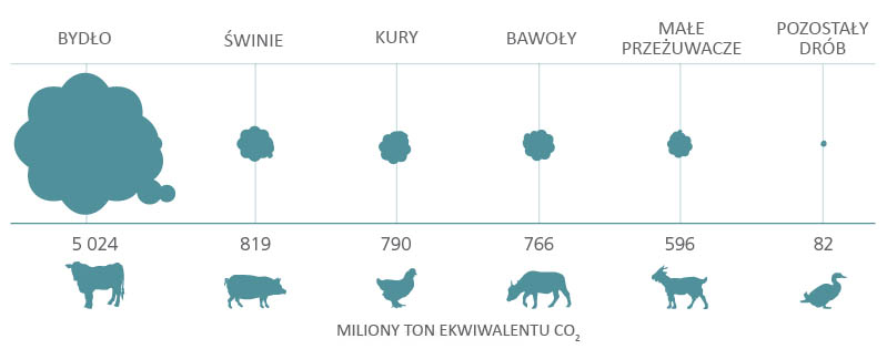Hodowla zwierząt: infografika pokazująca szacowane emisje gazów cieplarnianych związane z hodowlą konkretnych gatunków.  
