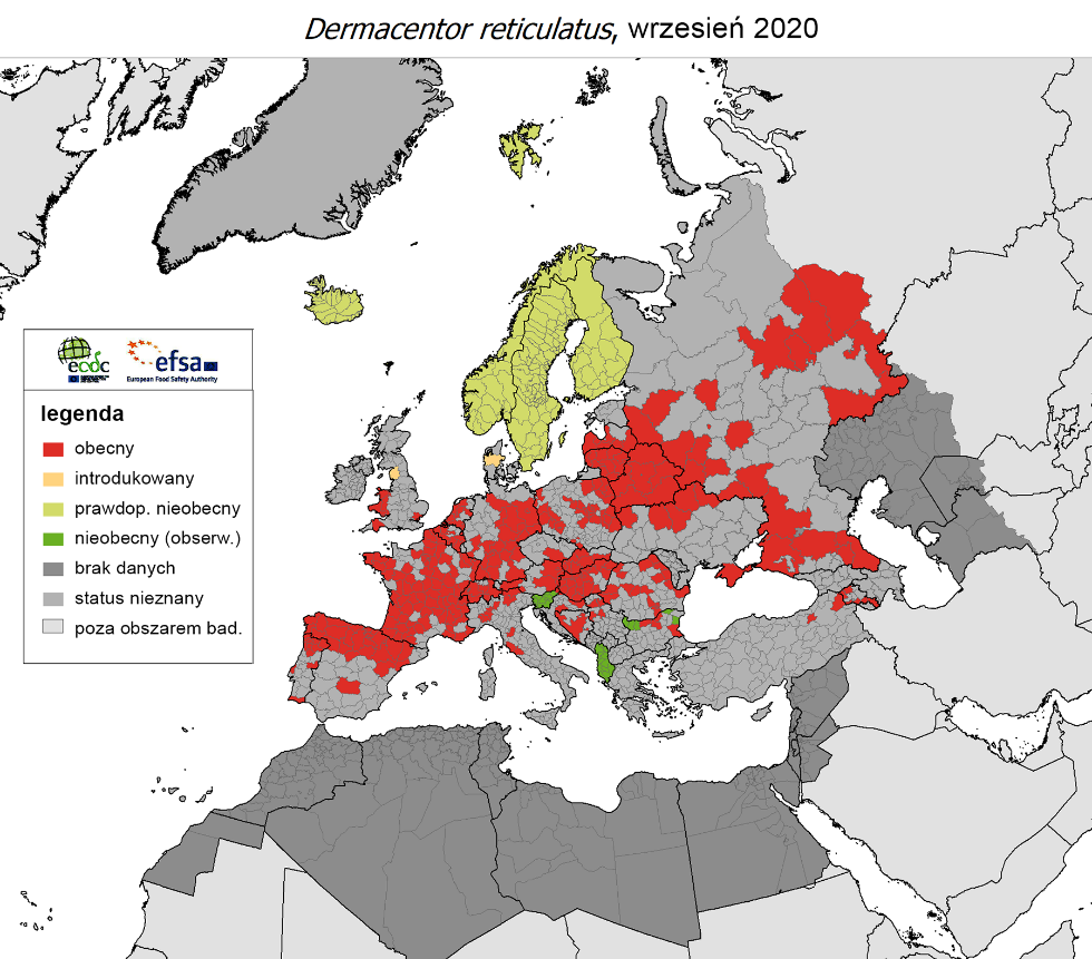 Mapa: występowanie kleszcza Dermacentor reticulatus w Europie
