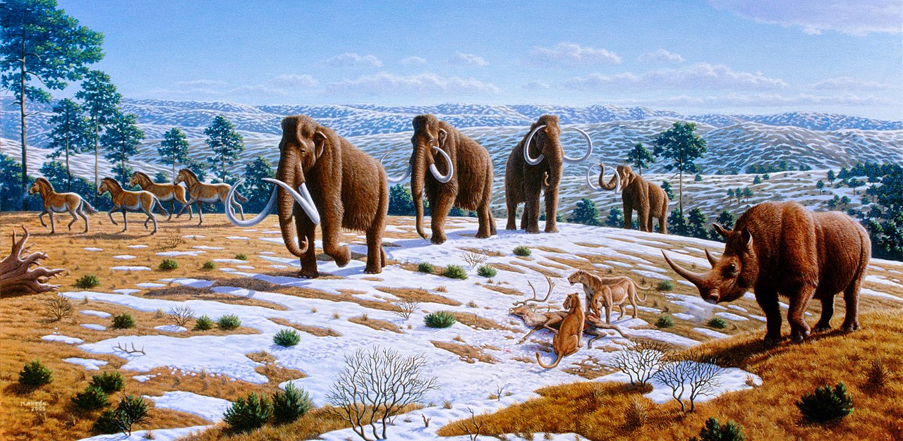 Epoka lodowa. Rysunek: fauna plejstocenu. Lekko ośnieżony, pagórkowaty teren, na pierwszym planie grupa mamutów, włochaty nosorożec, kilka niewielkich zwierząt kopytnych, drapieżne koty z upolowaną ofiarą.