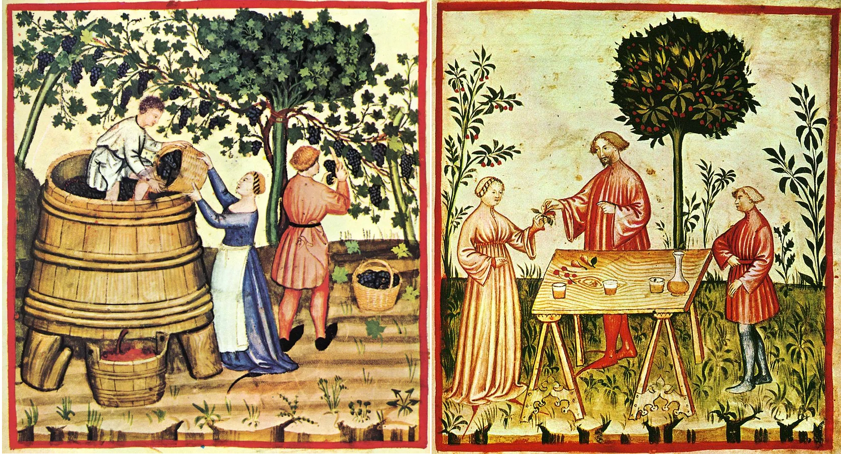 Średniowiecze: wyrób i degustacja wina. Ilustracje ze średniowiecznej księgi.