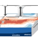 Pięć pytań o&nbsp;ENSO (El&nbsp;Niño i&nbsp;La&nbsp;Niña)