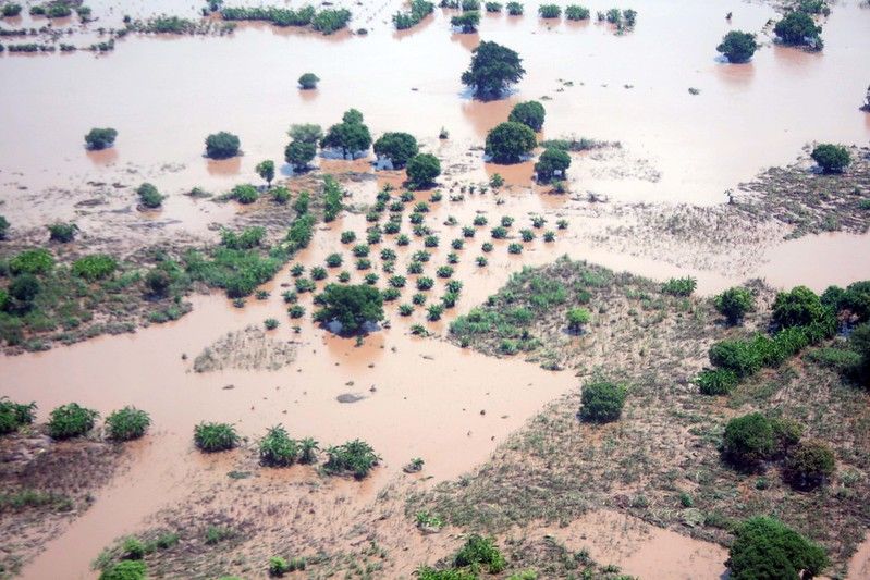 Zdjęcie: powódź w Malawi, woda stojąc na polach.]