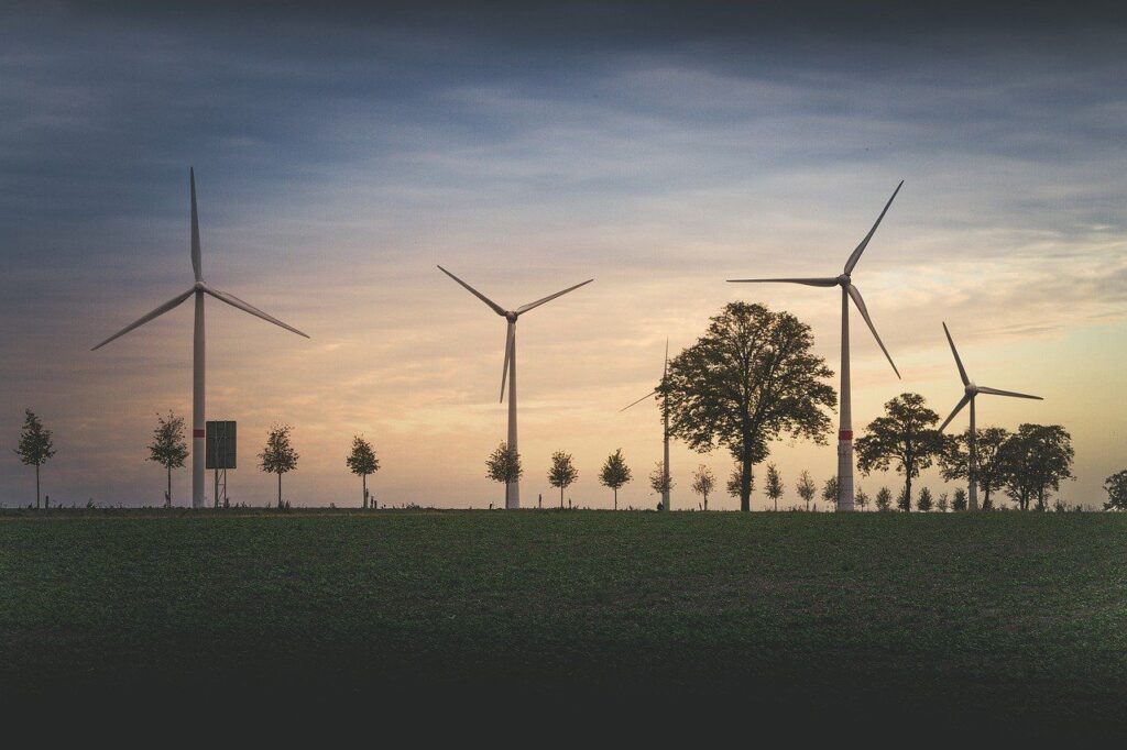 Zdjęcie: elektrownia wiatrowa, widać płaski teren z niewielkimi drzewami i rzędem wiatraków.]