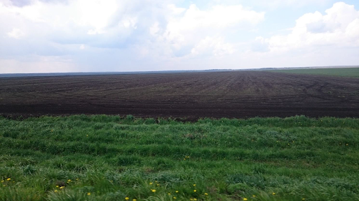 Zdjęcie: zaorane torfowiska. Płaski krajobraz, na pierwszym planie trawa, dalej czarna, równa ziemia. Autor: Wiktor Kotowski. 