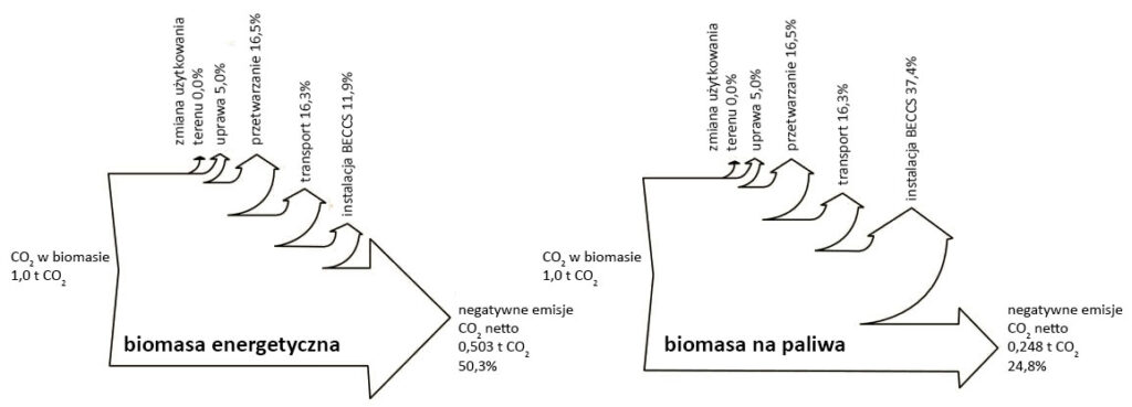 Wydajność BECCS: schemat pokazujący, jaka część węgla związanego w biomasie zostaje usunięta z obiegu w zależności od sposobu użycia biomasy.  