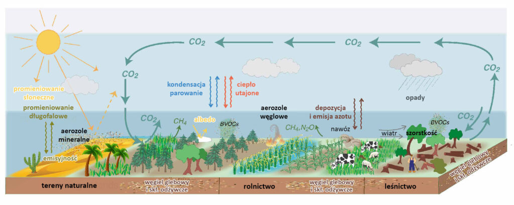 Schemat pokazujący wymianę gazów cieplarnianych między ekosystemami naturalnymi a zarządzanymi przez ludzi.