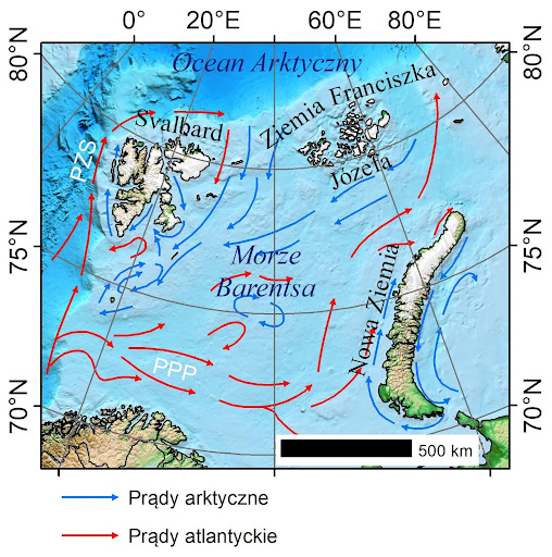 Obrazek przedstawia mapę wycinku Oceanu Arktycznego, na którym znajduje się Svalbard, Ziemia Franciszka Józefa oraz Nowa Ziemia. Zaznaczone są na niej przepływy prądów arktycznych oraz atlantyckich. Widać znaczną przewagę prądów atlantyckich, które biegną z południa na północ. 