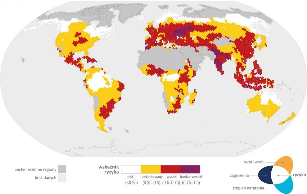 Mapa: globalne ryzyko susz