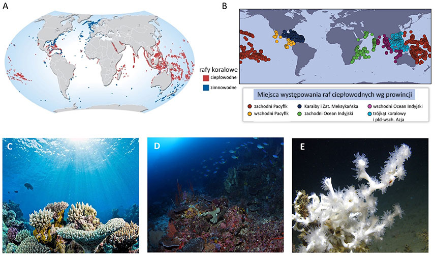 Mapy i zdjęcia pokazujące rozmieszczenie raf koralowych i ich wygląd.