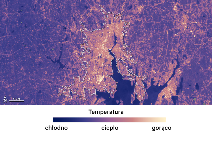 Miejska wyspa ciepła widoczna na zobrazowaniu satelitarnym jako obszar podwyższonych temperatur. 