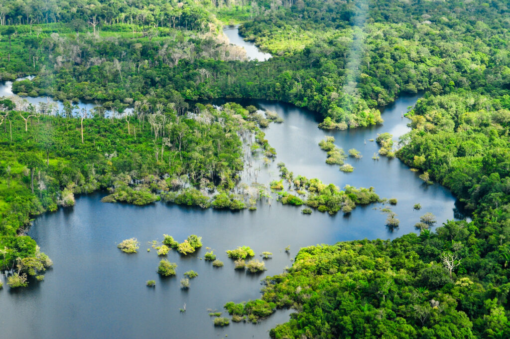 Zdjęcie lotnicze: ekosystemy słodkowodne basenu Amazonki. Widać szeroką, wijącą się rzekę i drzewa. 