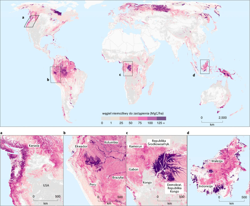 Mapy: rozmieszczenie nieodtwarzalnych magazynów węgla.
