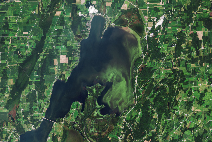 Zdjęcie dekoracyjne: sinice w jeziorze widziane z kosmosu. 