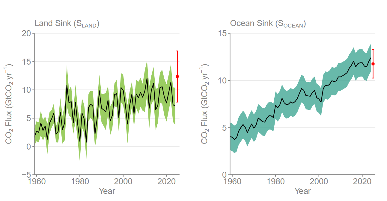 Pochłanianie dwutlenku węgla przez oceany i lądową biosferę w latach 1959-2025