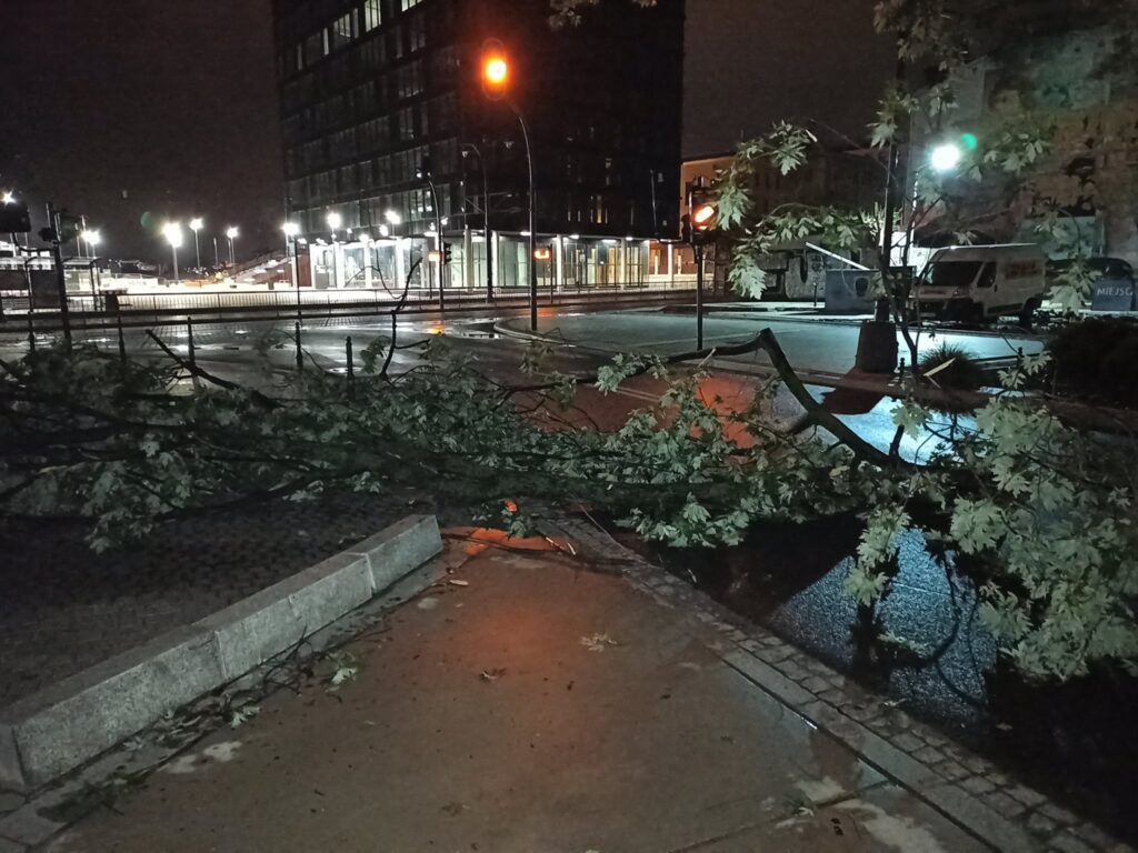 Zdjęcie dekoracyjne: skutki wichury w Łodzi, gałęzie drzewa na ulicy.