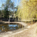 2025 w&nbsp;Polsce: rok nowej normy klimatycznej