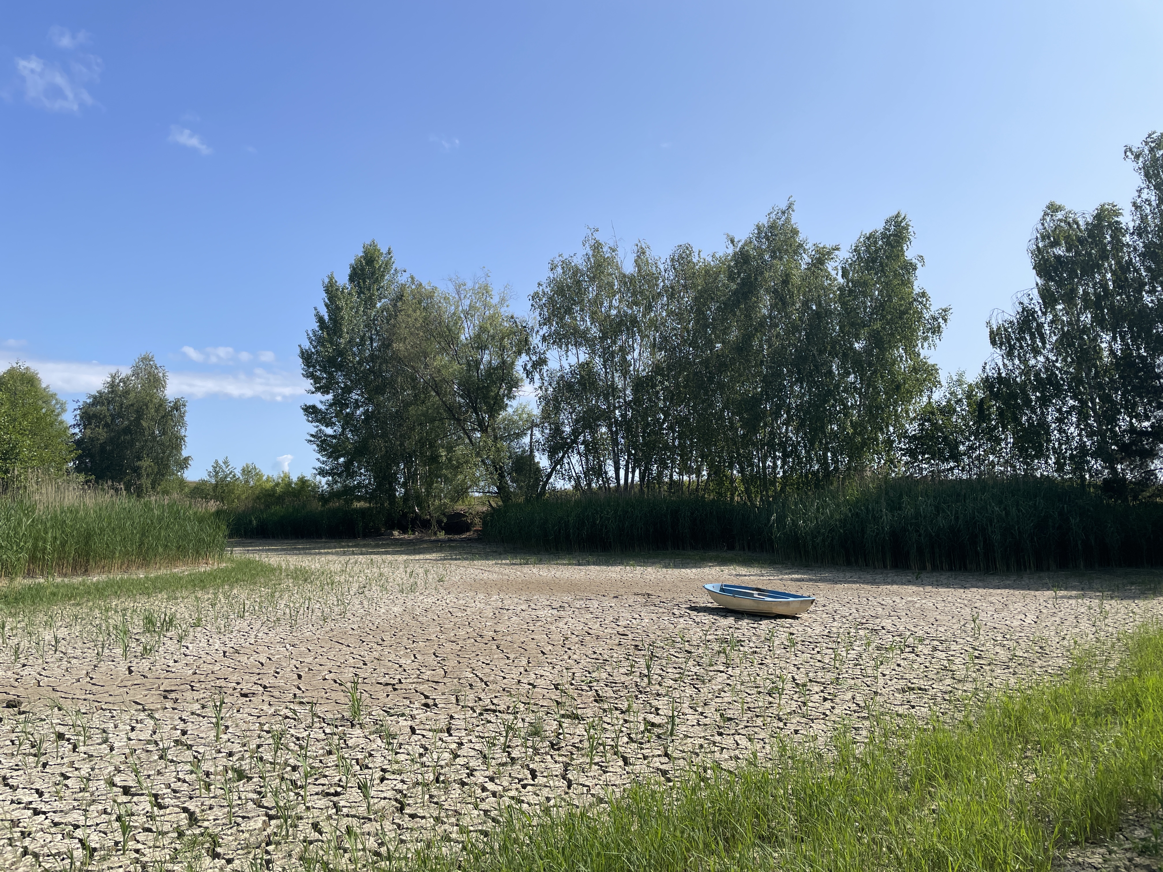 Jak przystosować Europę do nowego klimatu? – komunikat Komitetu ds. Kryzysu Klimatycznego PAN