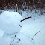 Jak zimny był styczeń 2026 roku?