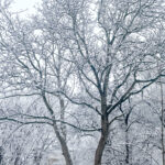 Niech&nbsp;styczeń 2026 Was nie&nbsp;zmyli. Globalne ocieplenie zabiera Polsce śnieg. Jak szybko? [WYWIAD]