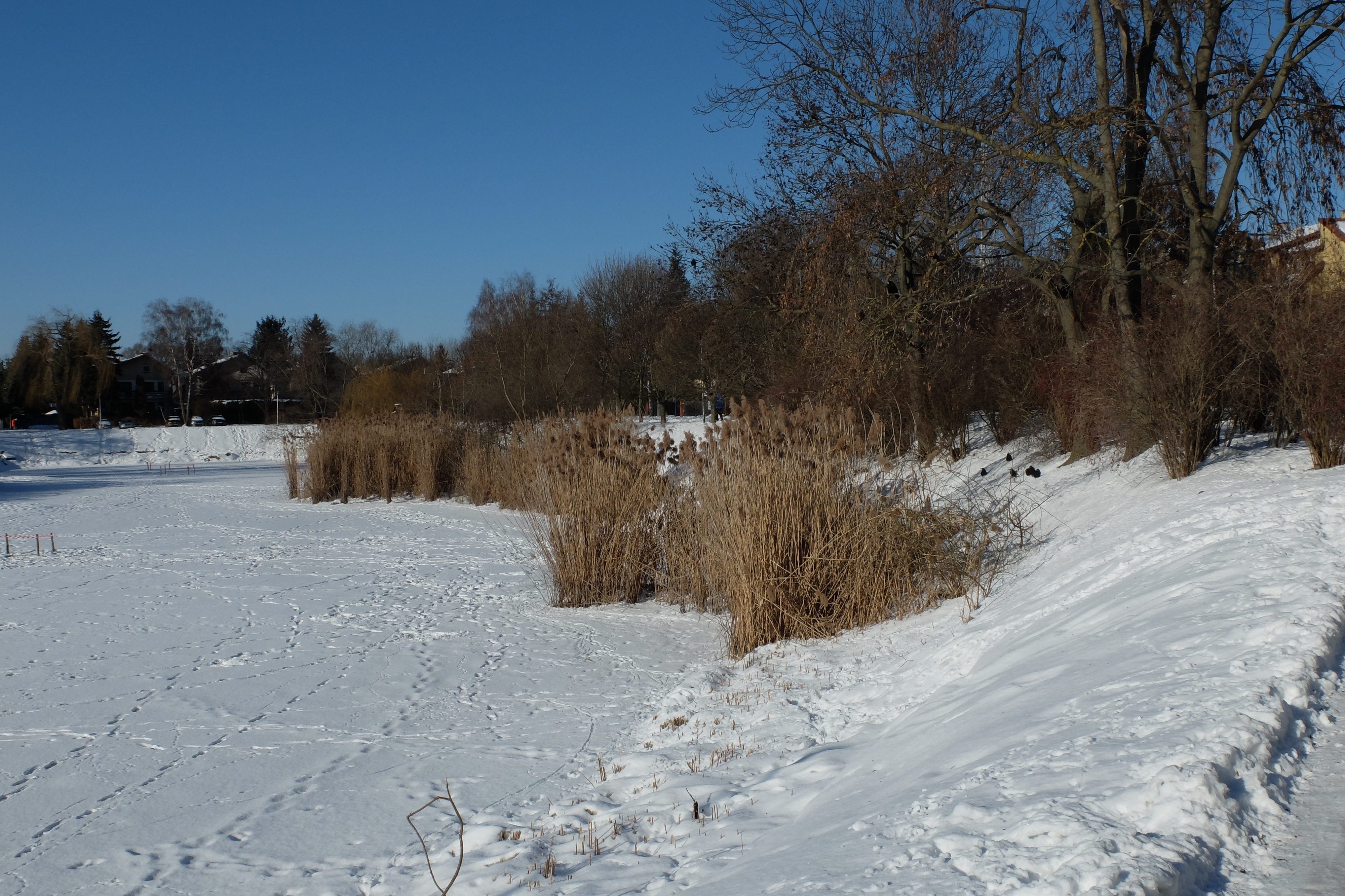 Polska zima 2025/2026 – śnieg nie obroni nas przed upałami i suszą