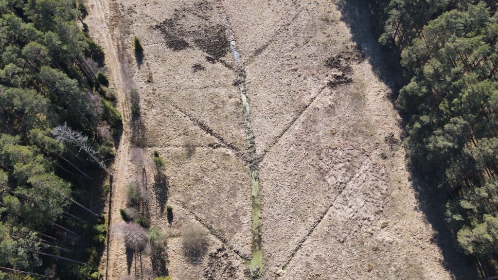 Zdjęcie dronowe: ponowne nawadnianie torfowiska, Nadleśnictwo Woziwoda. Widać teren między drzewami, poprzecinany rowami z wodą. 