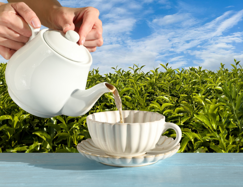 Zdjęcie dekoracyjne: poranna filiżanka herbaty. W tle herbata na polu.