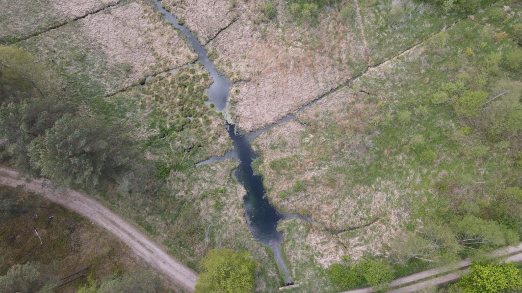 Zdjęcie dronowe: widziane z góry torfowisko z podpiętrzonym poziomem wody, Pomorze.