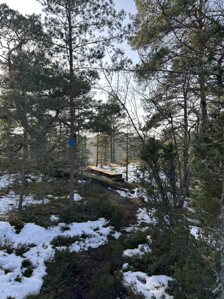 Zdjęcie: Tvärminne, skalisto drzewiasty krajobraz.  