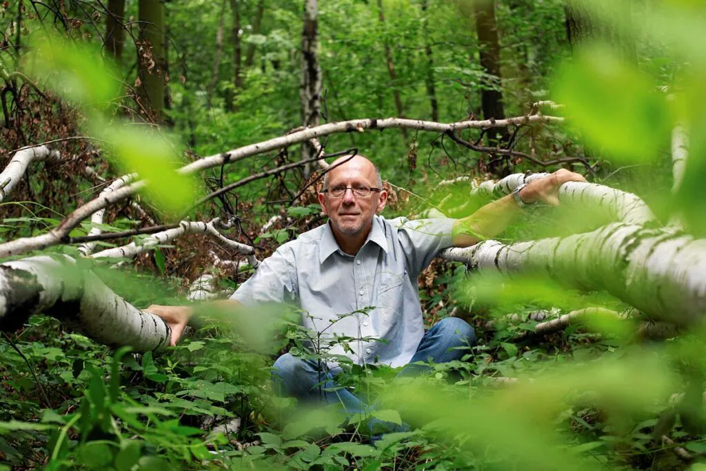  Zdjęcie: prof. Piotr Skubała pośród powalonych brzóz i niskiej roślinności w lesie