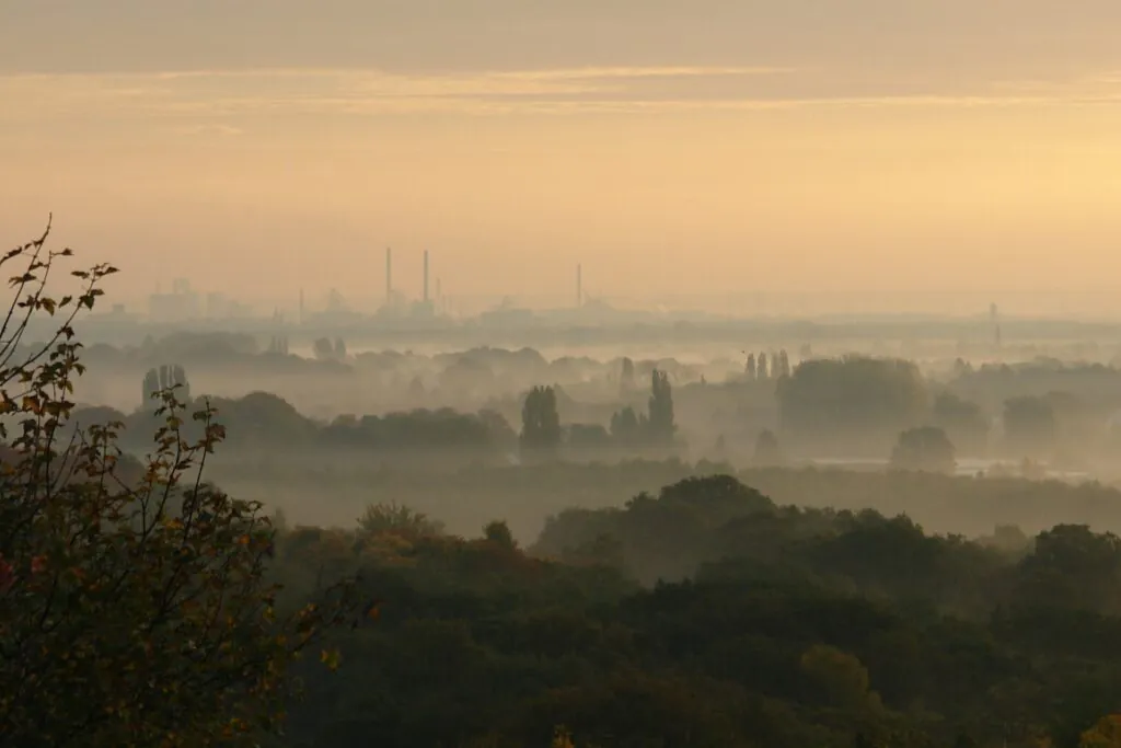 Zdjęcie ilustracyjne: pagórkowaty krajobraz z drzewami i miastem pokrytymi mgłą.